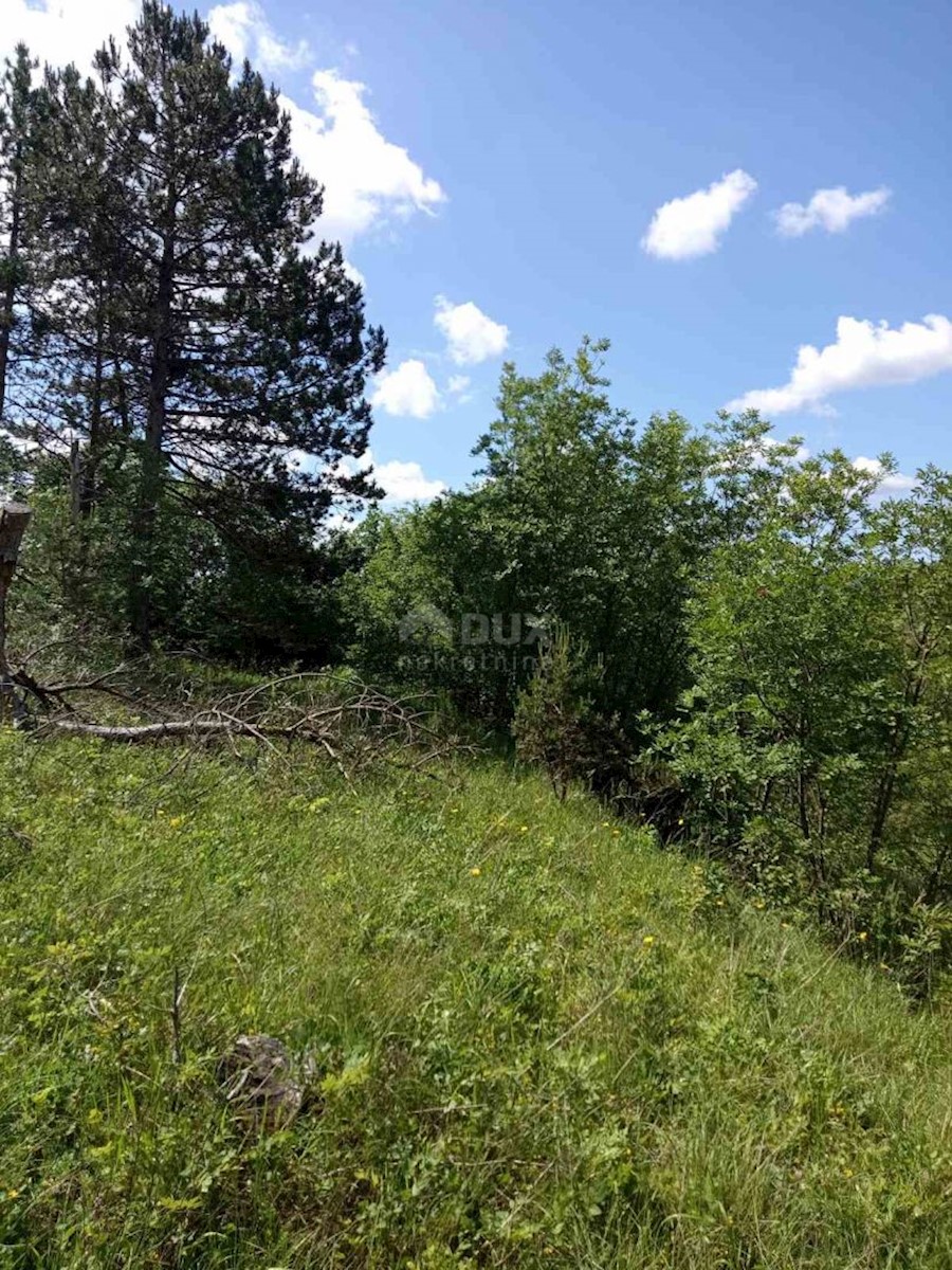 Land For sale - ISTARSKA LABIN