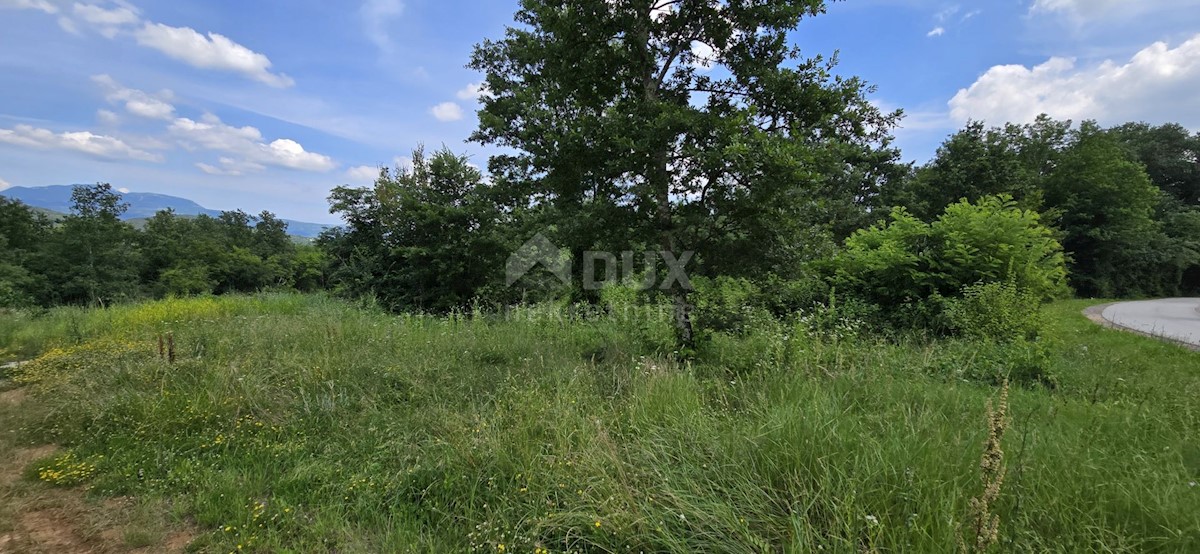 Terreno In vendita - ISTARSKA PIĆAN