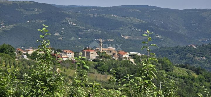 Pozemok na predaj 2812 m² – Motovun