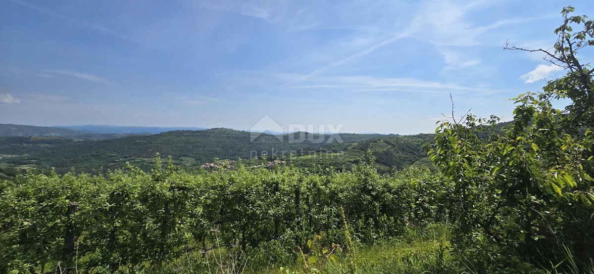 Zemljište Na prodaju - ISTARSKA MOTOVUN