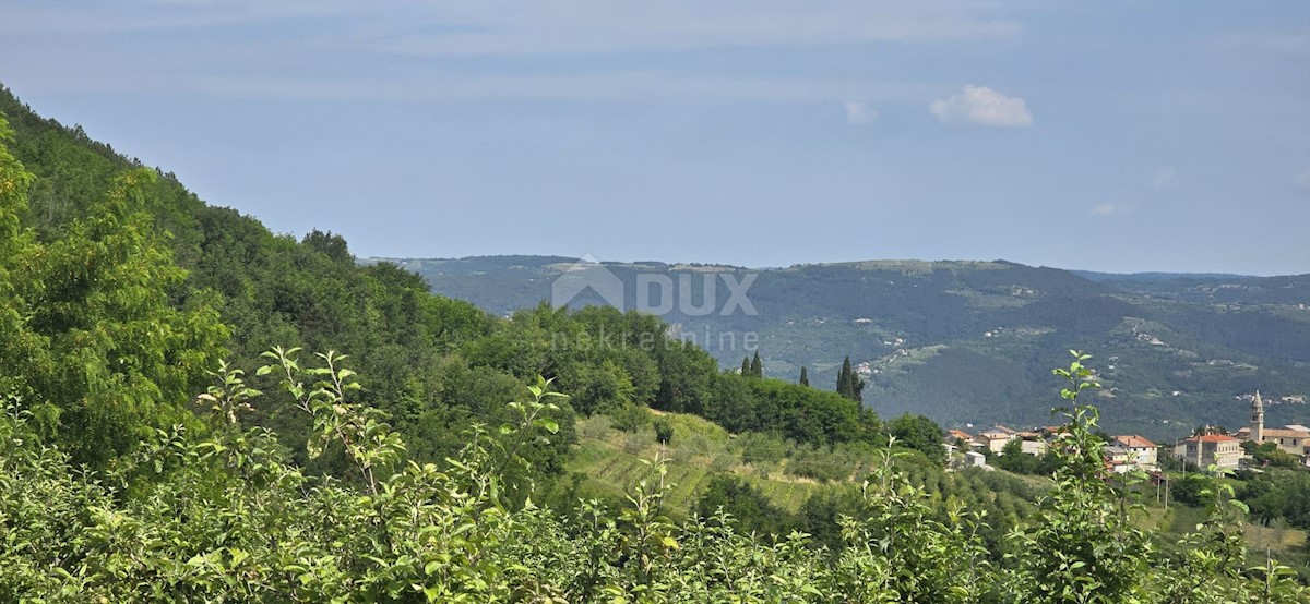 Zemljište Na prodaju - ISTARSKA MOTOVUN