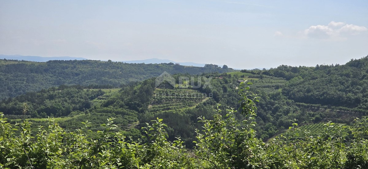 Zemljište Na prodaju - ISTARSKA MOTOVUN