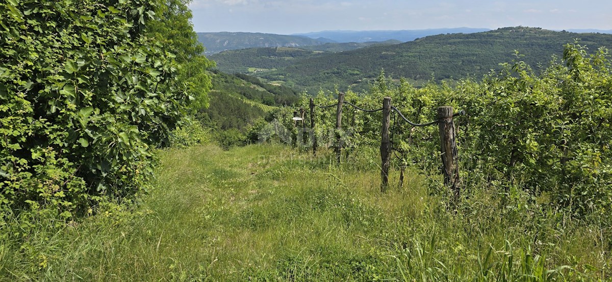 Zemljište Na prodaju - ISTARSKA MOTOVUN