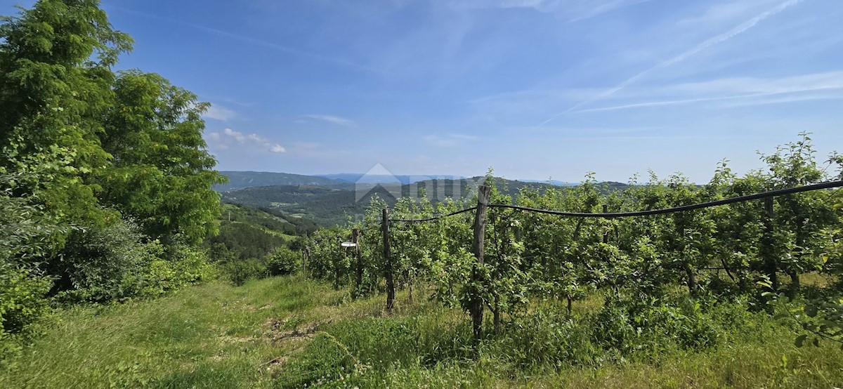 Zemljište Na prodaju - ISTARSKA MOTOVUN