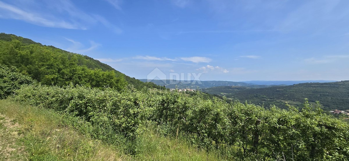 Zemljište Na prodaju - ISTARSKA MOTOVUN