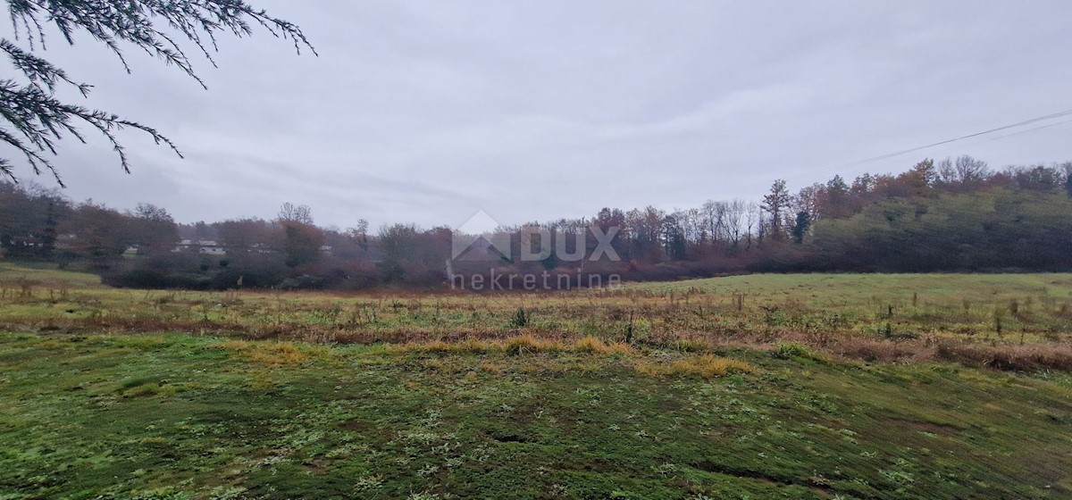 Land For sale - ISTARSKA PAZIN