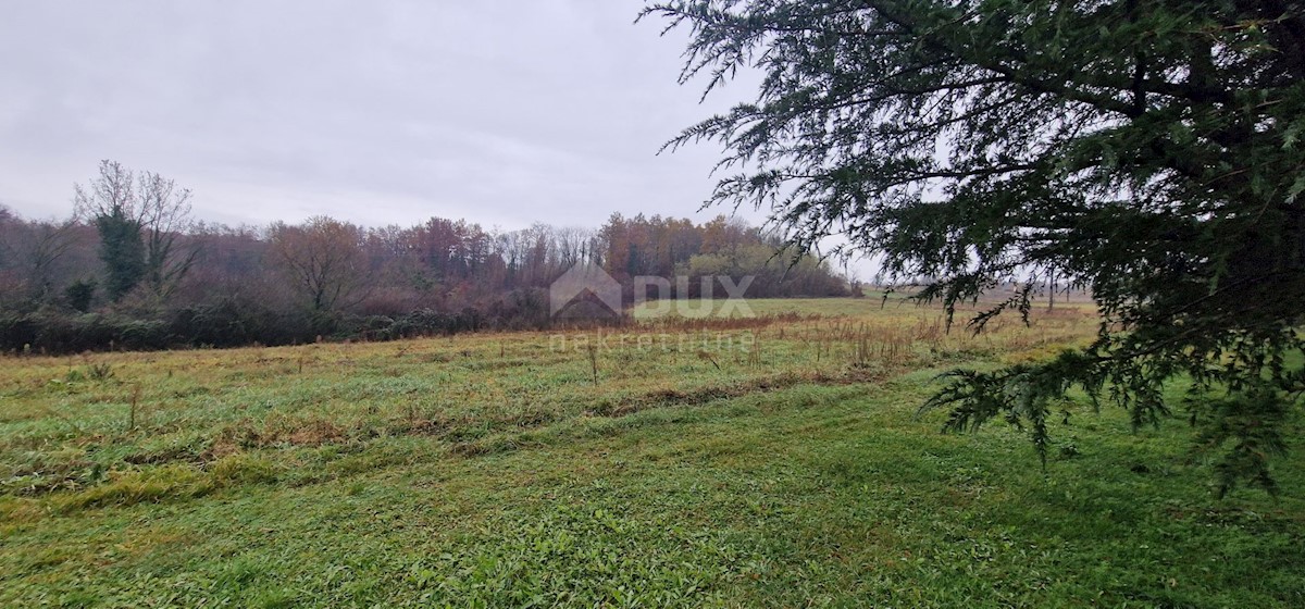 Land For sale - ISTARSKA PAZIN