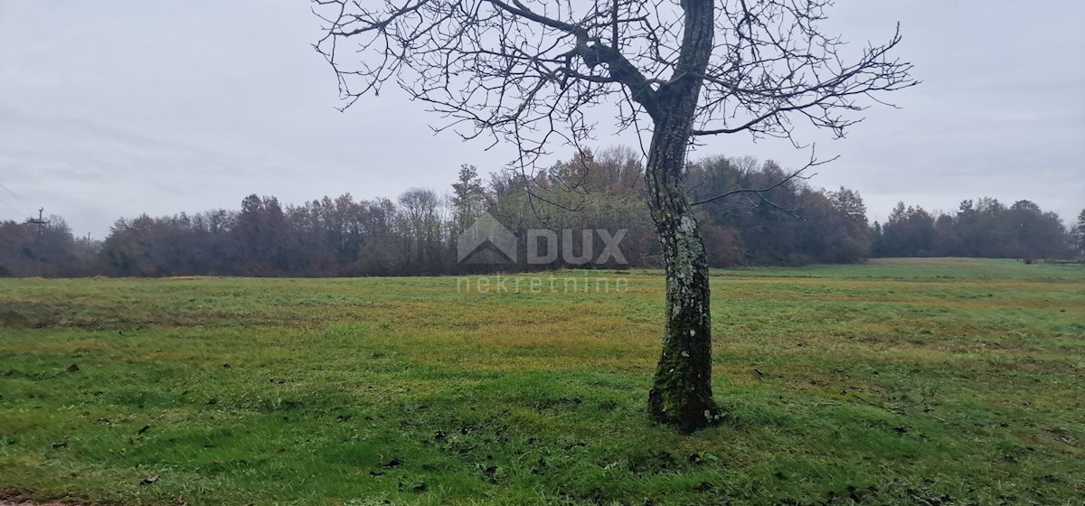 Land For sale - ISTARSKA PAZIN