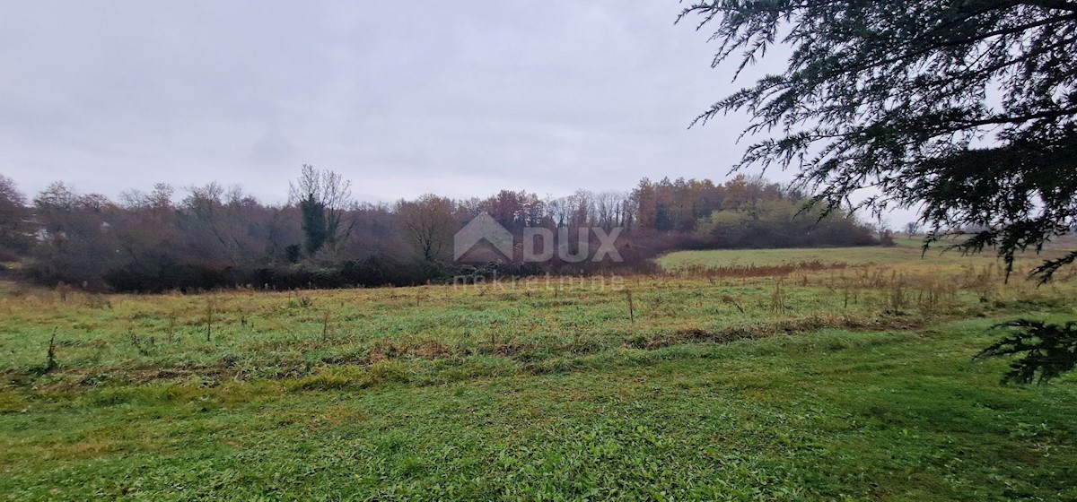 Land For sale - ISTARSKA PAZIN