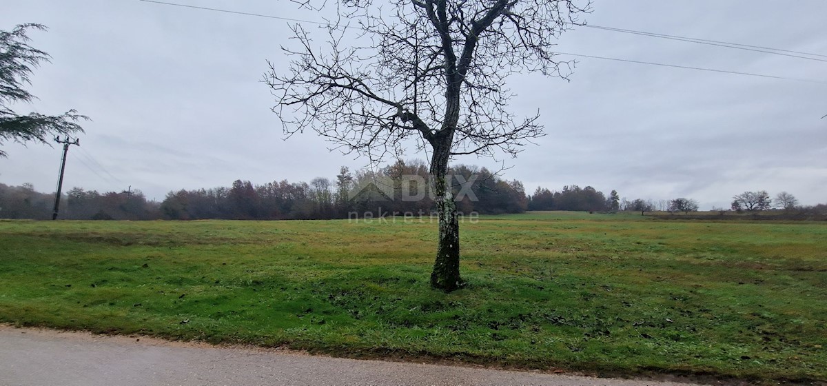 Land For sale - ISTARSKA PAZIN