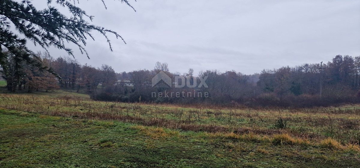 Land For sale - ISTARSKA PAZIN