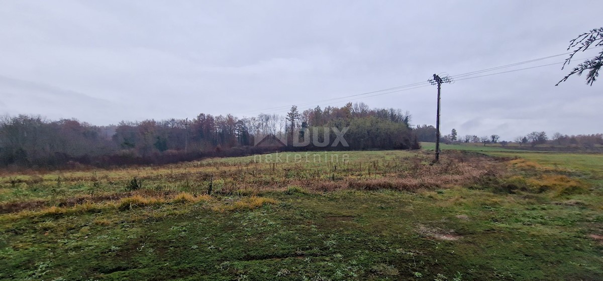 Land For sale - ISTARSKA PAZIN