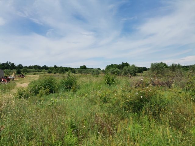 Zemljište na prodaju 2899 m² – Kaštelir