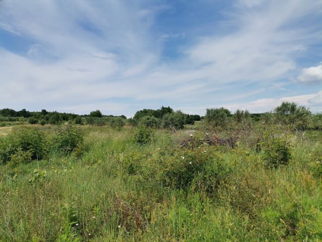 Parcela Naprodaj - Istarska Kaštelir - foto 2/3