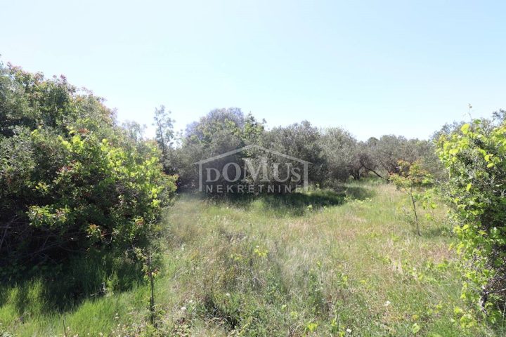 Land For sale - šibensko-kninska šibenik - foto 5/6