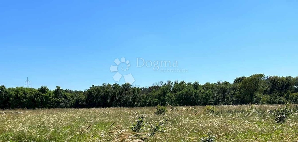 Terrain À vendre - Istarska Marčana - foto 1/1