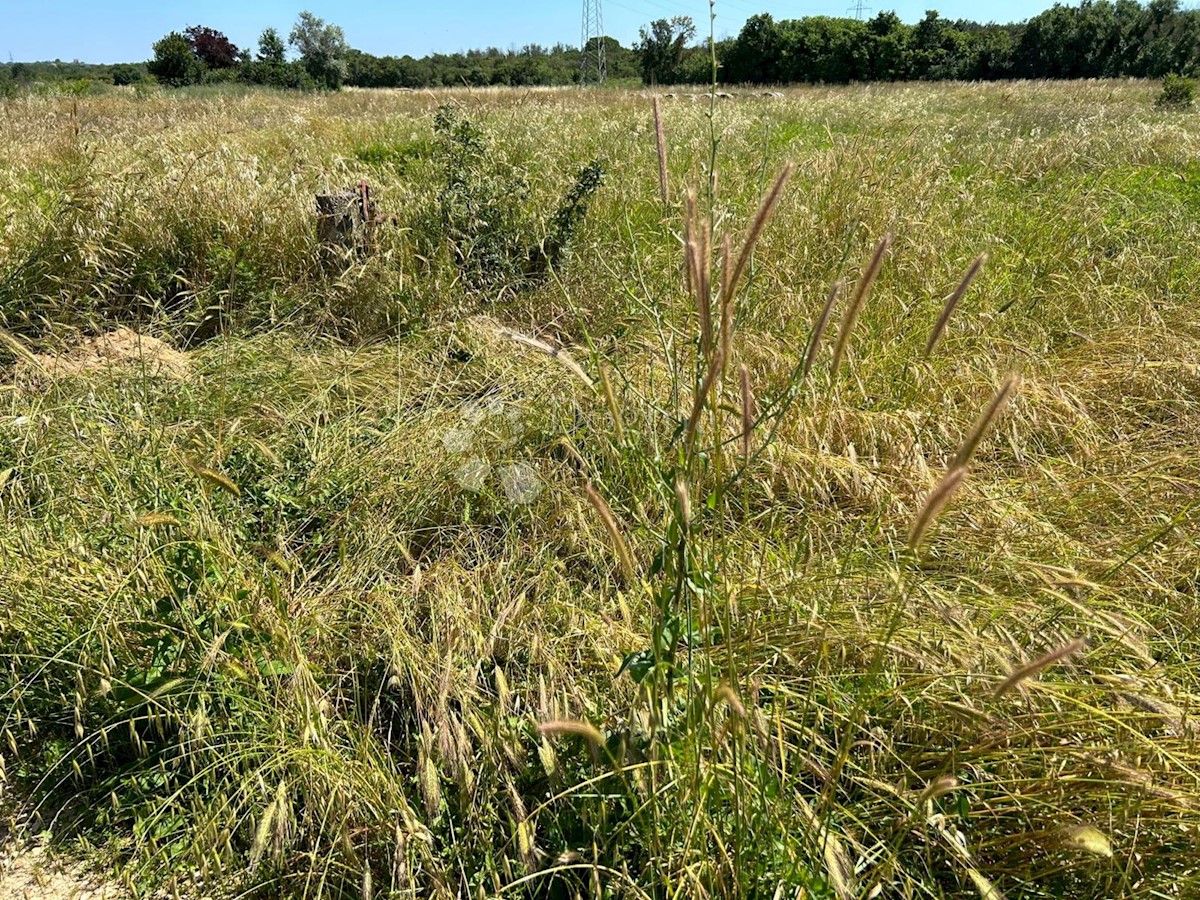 Terreno In vendita - Istarska Pula - foto 5/5