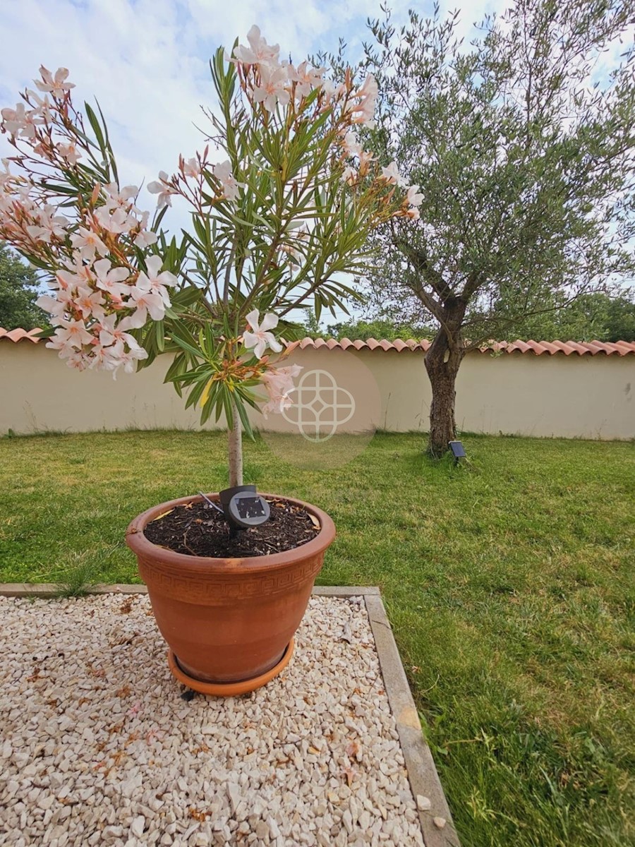 Dom Na sprzedaż - ISTARSKA FAŽANA