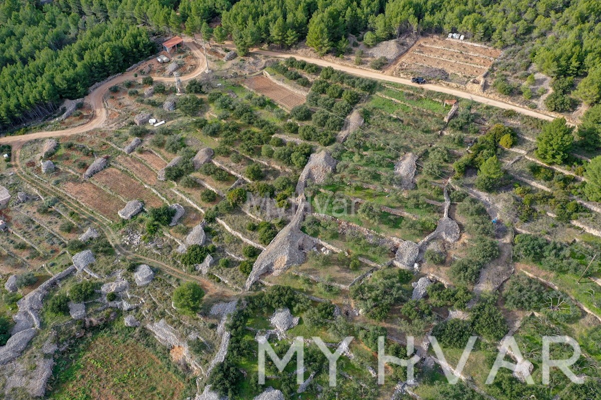 Land For sale - SPLITSKO-DALMATINSKA HVAR