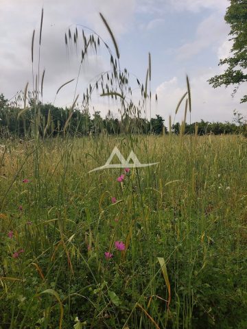 Land for sale 3130 m² – Bokanjac