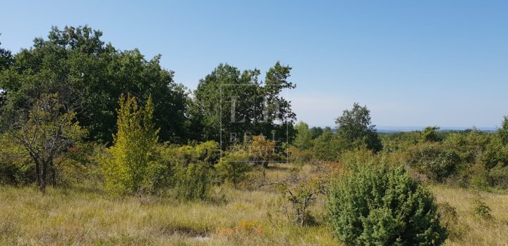 Parcela na predaj 5183 m² – Buje