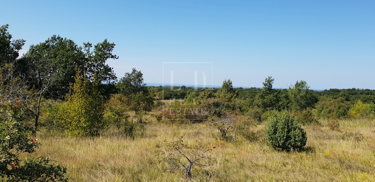 Land For sale - ISTARSKA BUJE