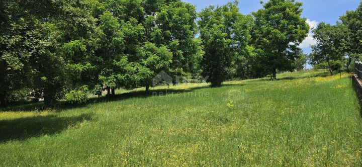 Zemljište na prodaju 1300 m² – Grožnjan