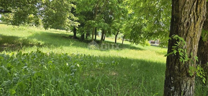 Grundstück Zu verkaufen - Istarska Grožnjan - foto 5/10