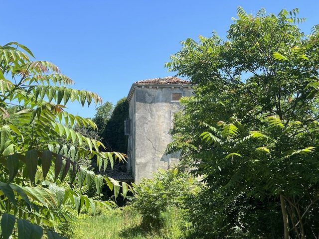 Dom Na predaj - Istarska Ližnjan - foto 4/4