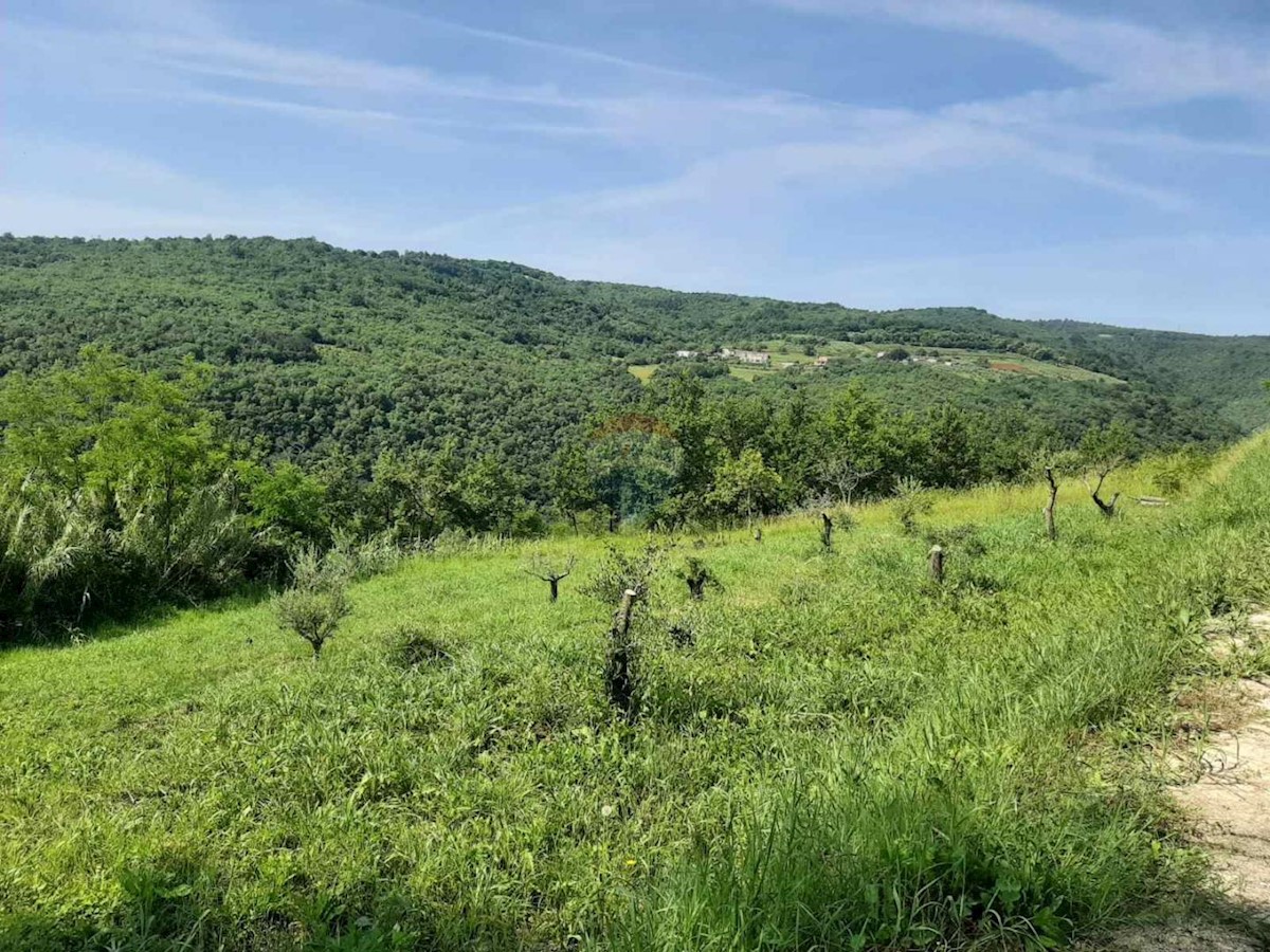 Land For sale - ISTARSKA MOTOVUN