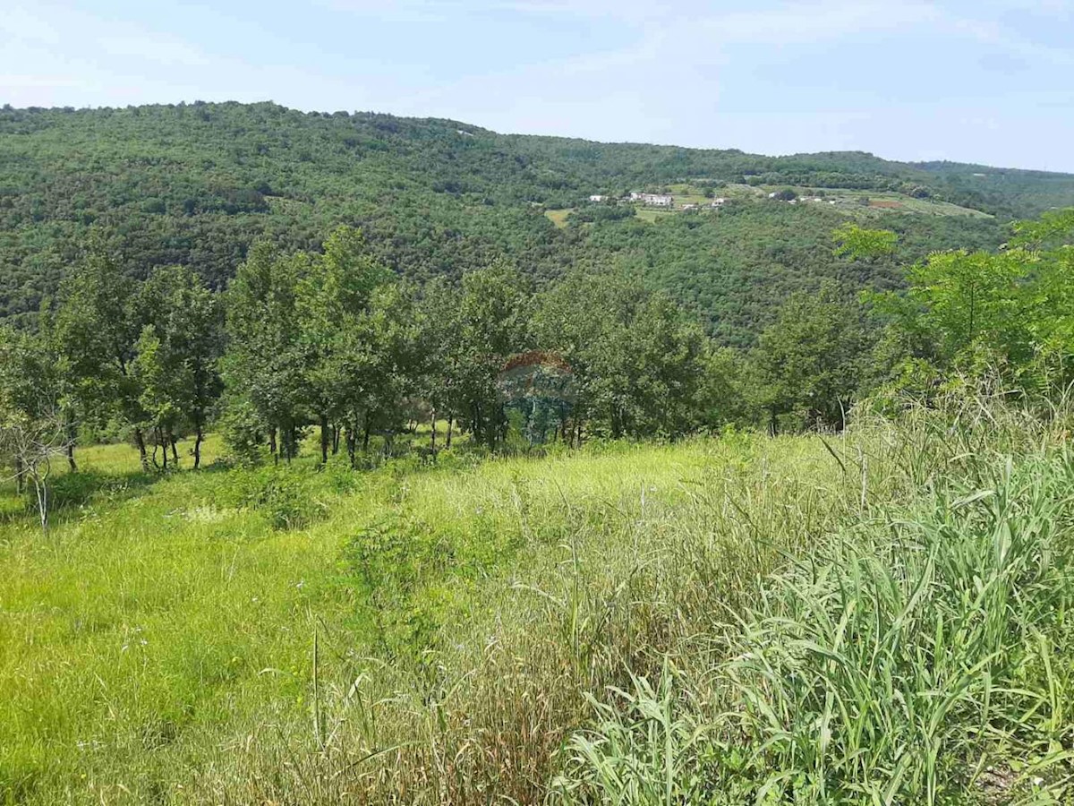 Terreno In vendita - ISTARSKA MOTOVUN