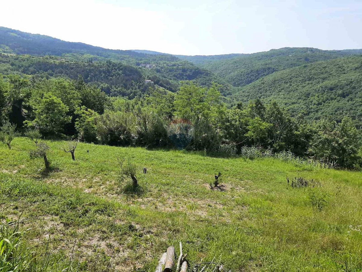 Terreno In vendita - ISTARSKA MOTOVUN