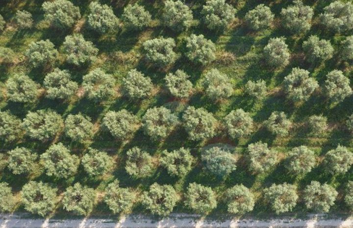 Terreno in vendita 2640 m² – Rovinj