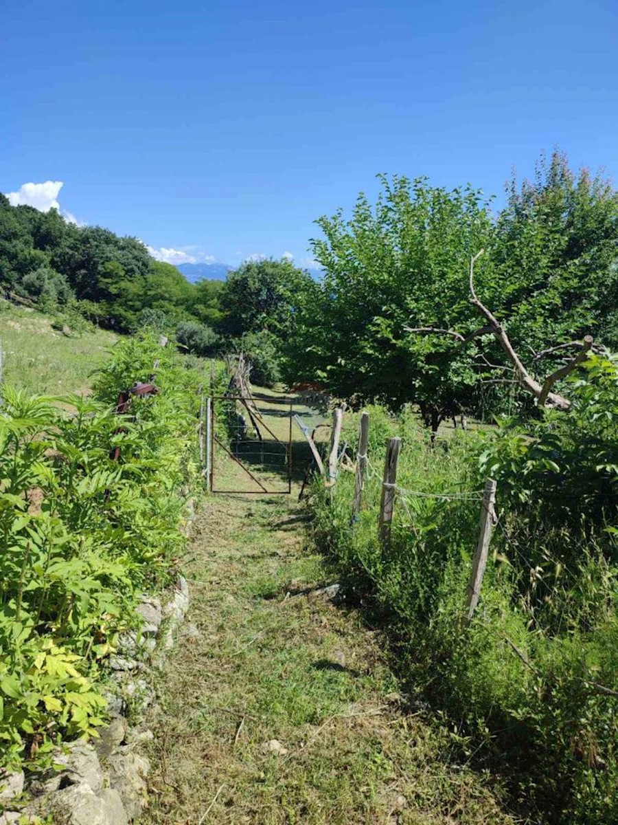 Terreno In vendita BAŠKA