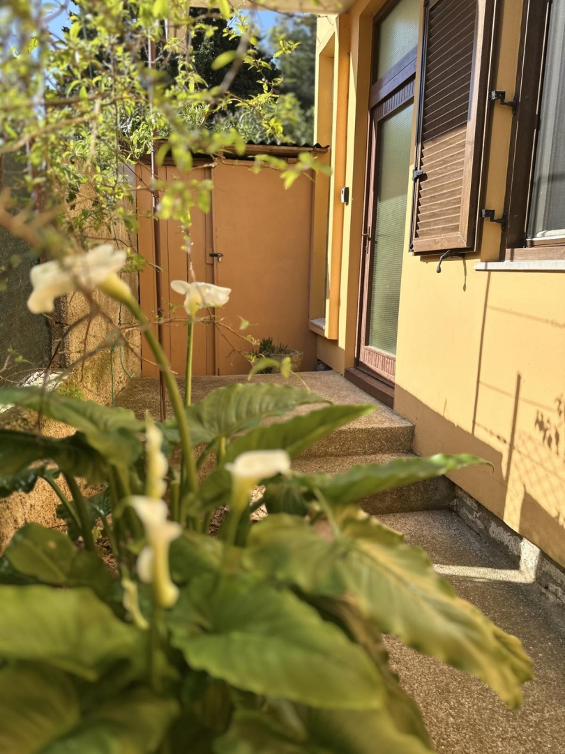 Haus Zu verkaufen - ISTARSKA MEDULIN