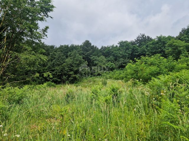 Land for sale 8651 m² – Pićan