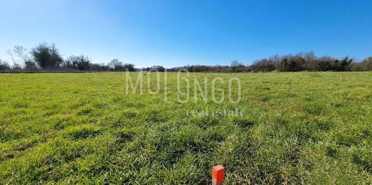 Land For sale - ISTARSKA MARČANA