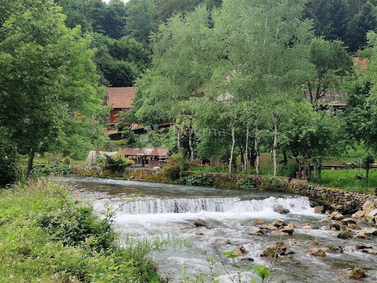 Kuća Na prodaju - PRIMORSKO-GORANSKA DELNICE