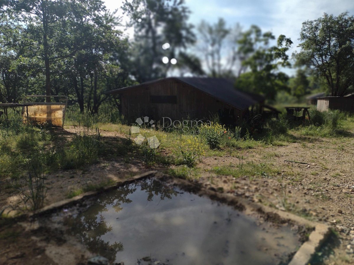 Haus Zu verkaufen - SISAČKO-MOSLAVAČKA GVOZD