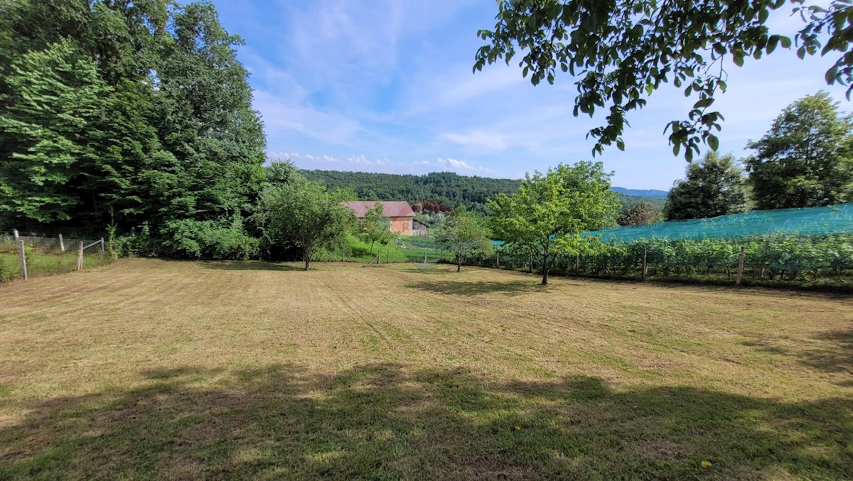 Casa In vendita - ZAGREBAČKA POKUPSKO