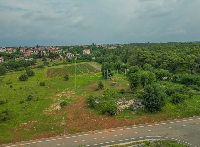 Land for sale 6110 m² – Umag