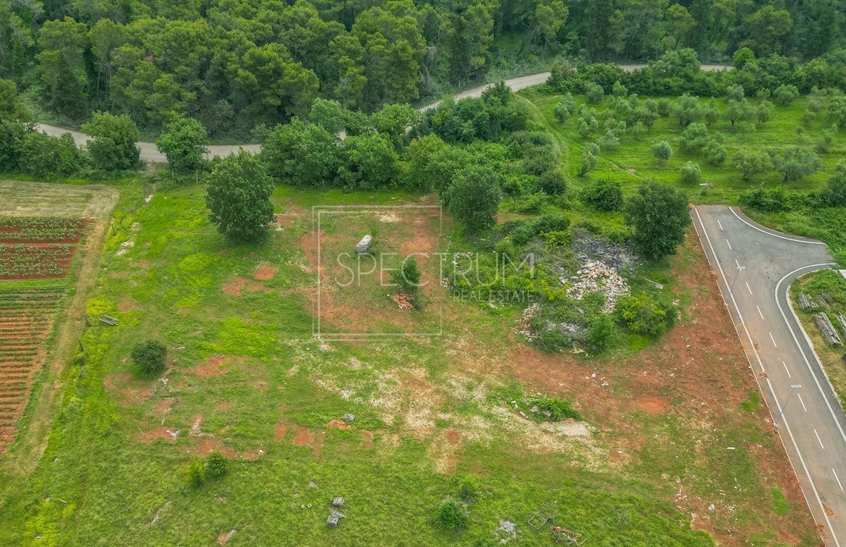 Terrain À vendre - ISTARSKA UMAG