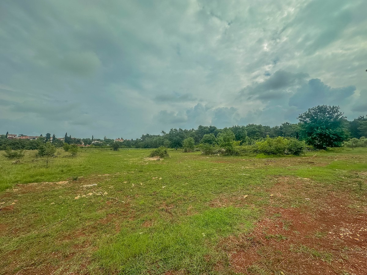 Terrain À vendre - ISTARSKA UMAG