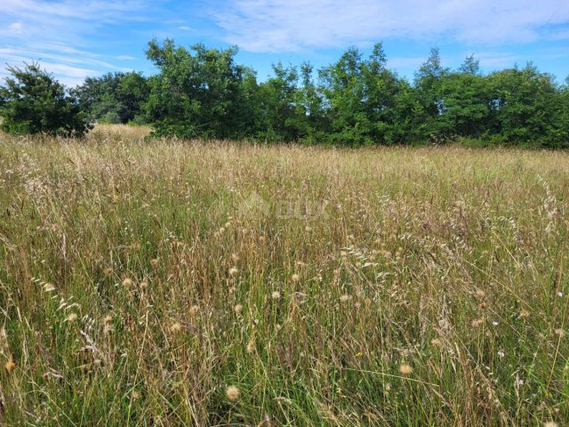 Land For sale - Istarska Marčana - foto 4/5
