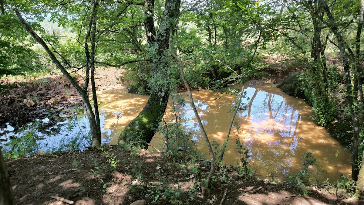 Zemljište Na prodaju - ISTARSKA KAŠTELIR