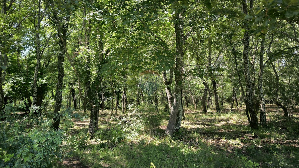 Zemljište Na prodaju - ISTARSKA KAŠTELIR