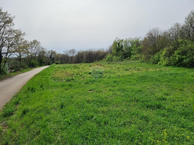Działka Na sprzedaż - Istarska žminj - foto 3/3