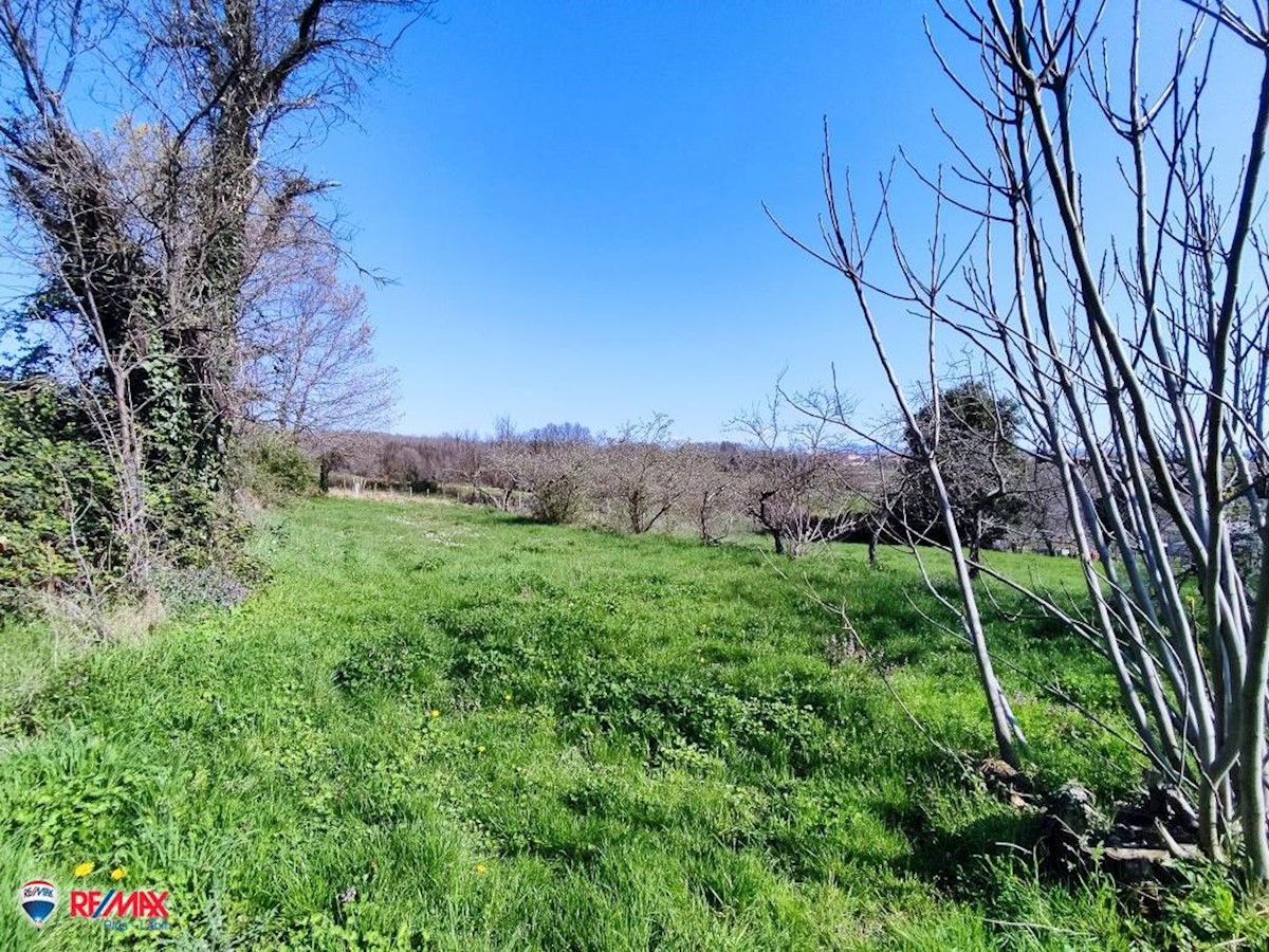 Casa In vendita - ISTARSKA BARBAN