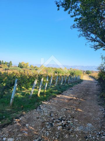 Parcela Naprodaj - Zadarska Nin - foto 3/3