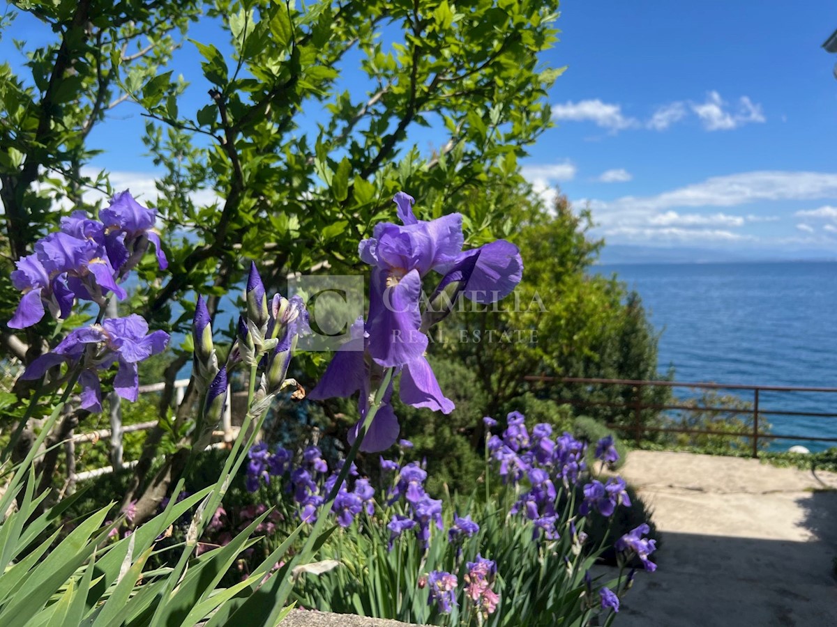 Stan Na prodaju - PRIMORSKO-GORANSKA OPATIJA